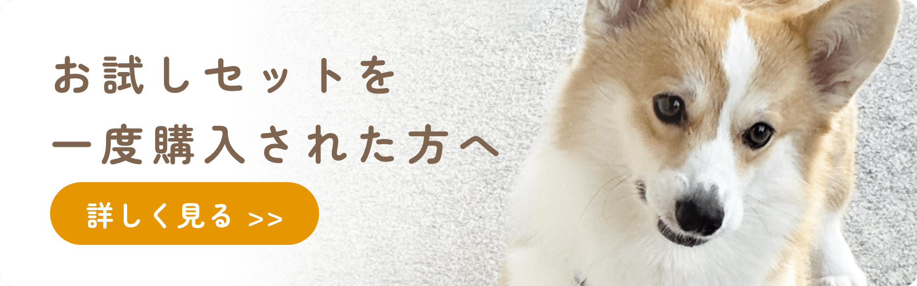 お試しセットを一度購入された方へ