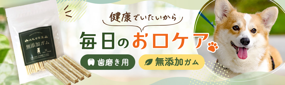 健康でいたいから 毎日のお口ケア 無添加ガム