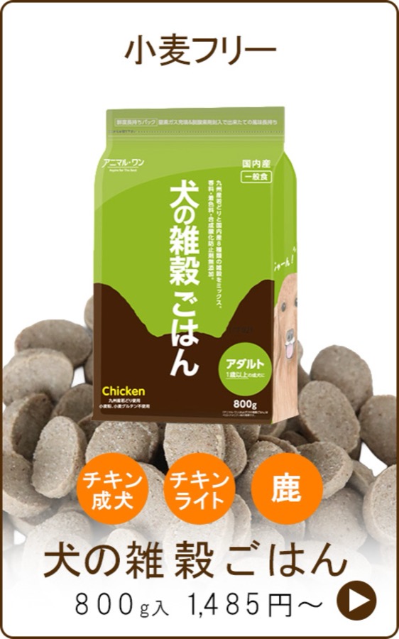 犬の雑穀ごはん（小麦フリー）