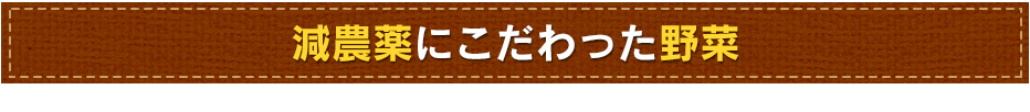 減農薬にこだっわった野菜