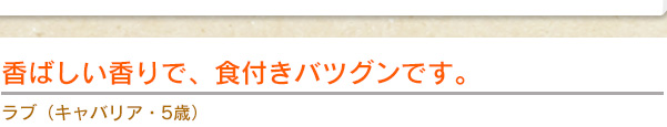 香ばしい香りで、食付きバツグンです。