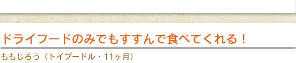 ドライフードのみでもすすんで食べてくれる！