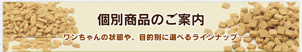 個別商品のご案内