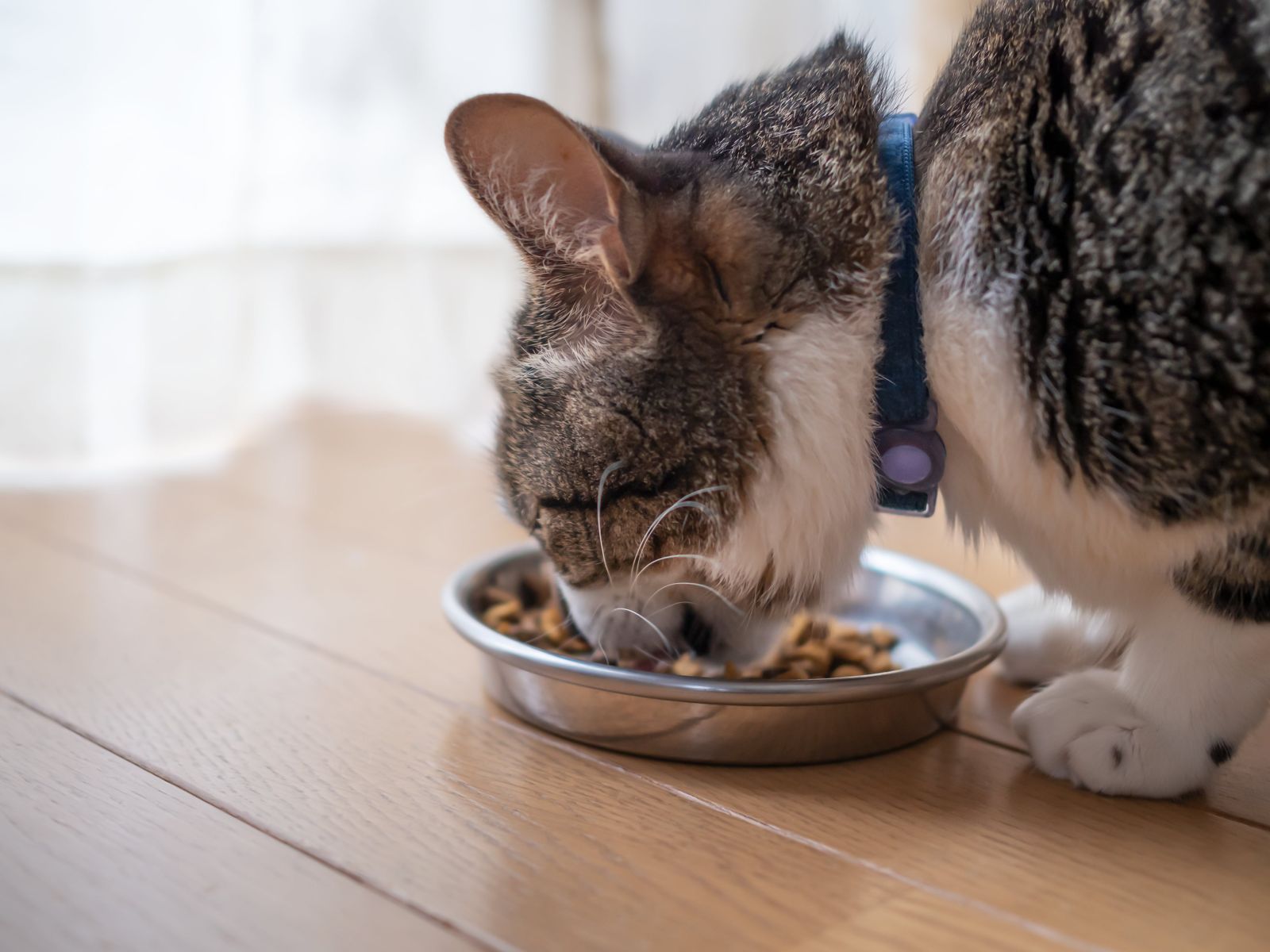 食いつきをチェック