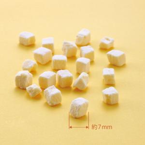 【数量限定】ドットにゃん フリーズドライチーズ