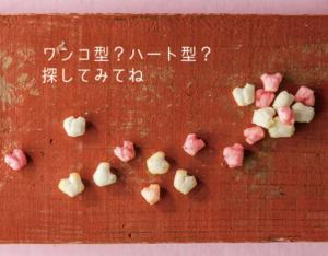 ドットわんの逸品　新潟紅白あられ