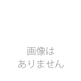 ペットのための消臭&除菌水 スプレーガンのみ