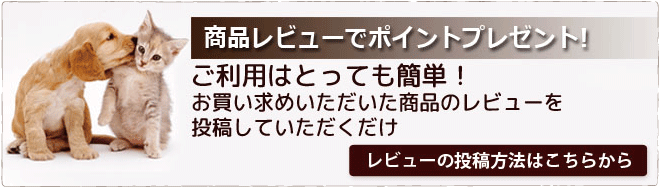 レビューでポイントキャンペーン